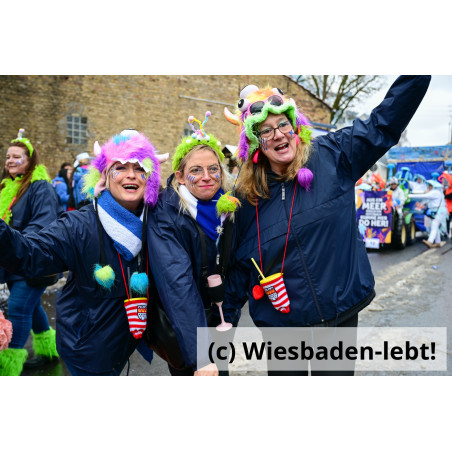 Frauenstein Rosenmontag 117