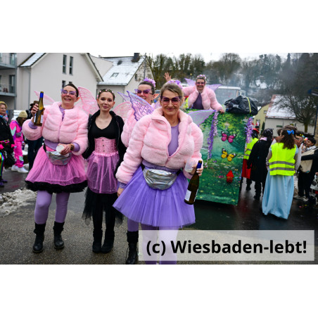 Frauenstein Rosenmontag 123