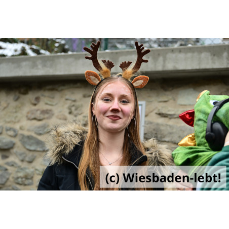 Frauenstein Rosenmontag 134