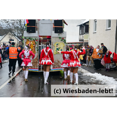 Frauenstein Rosenmontag 137