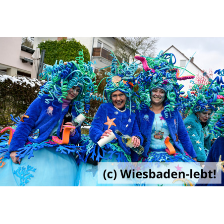 Frauenstein Rosenmontag 146