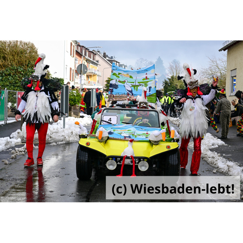 Frauenstein Rosenmontag 154