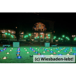 Sylverster 25 26 (10)